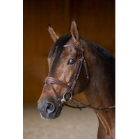 Bridão Combinado Padded HFI Master Castanho