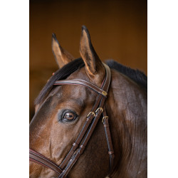Bridão Combinado Padded HFI Master Castanho