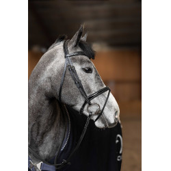 Kombiniertes Trensenzaum Painted HFI Master Preto