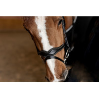 Bridão Combinado Wavy HFI Master Preto