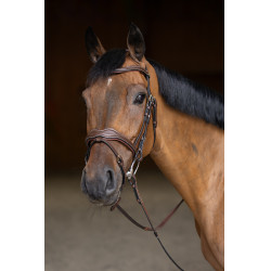 Bridão Combinado Wavy HFI Master Castanho