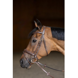 Bridão Combinado Wavy HFI Master Castanho