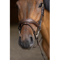 Bridão Combinado Wavy HFI Master Castanho