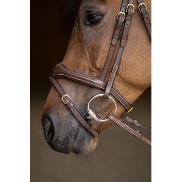 Bridão Combinado Wavy HFI Master Castanho