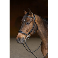 Bridão Hackamore HFI Master Preto