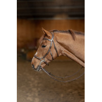 Bridão Hackamore HFI Master