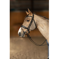 Bridon HFI Master pull-back Edges Preto