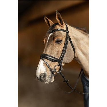 Bridon HFI Master pull-back Edges Preto Bridon HFI Master pull-back Edges Preto