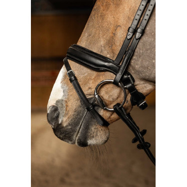 Bridon HFI Master pull-back Edges Preto Bridon HFI Master pull-back Edges Preto