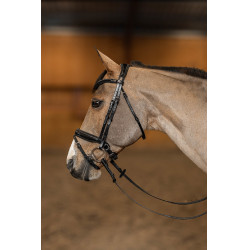 Bridon Pull-back Verona HFI Master Pro Line Preto / prata