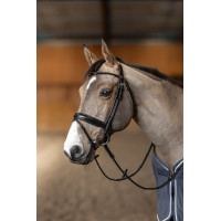 Runder Zaum HFI Master Preto