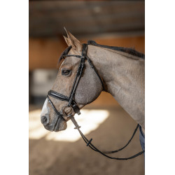 Runder Zaum HFI Master Preto