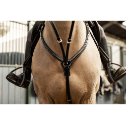 Peitoral Arezzo HFI Master Pro Line