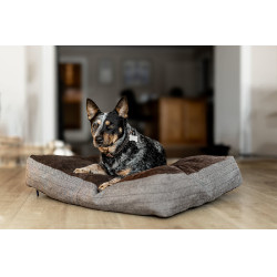 Almofada retangular para cão HFI