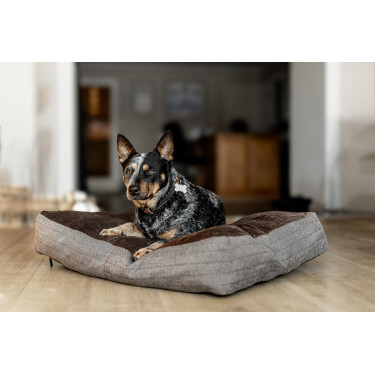 Almofada retangular para cão HFI