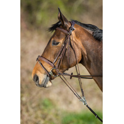 Gogue de couro HFI Master Castanho