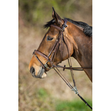 Gogue de couro HFI Master Castanho