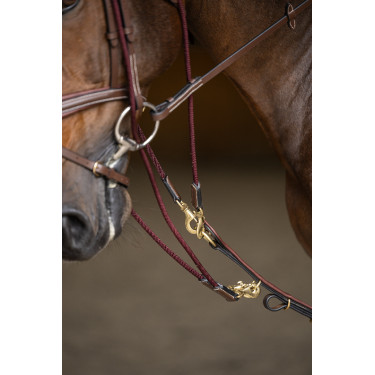 Gogue HFI Master Castanho