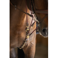 Gogue HFI Master Castanho