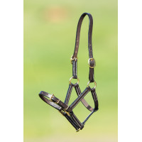 Caveção de couro HFI Master Castanho Caveção de couro HFI Master Castanho