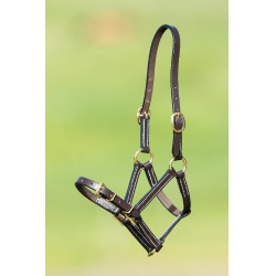 Caveção de couro HFI Master Castanho