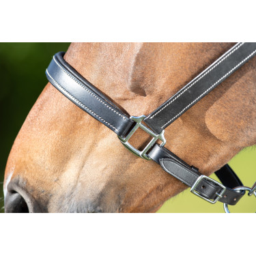 Cabeçada de couro HFI Master couro duplo ajuste Preto