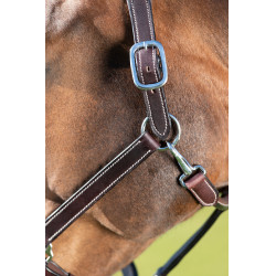 Cabeçada de couro HFI Master couro duplo ajuste Castanho