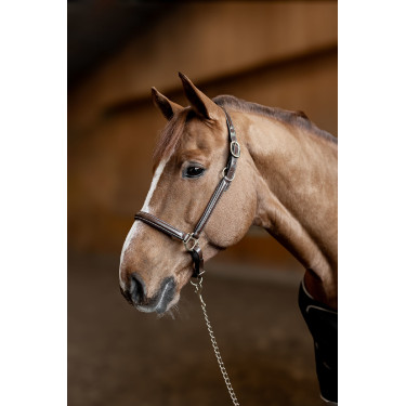 Caveção de couro Little Groom HFI Master Castanho Caveção de couro Little Groom HFI Master Castanho