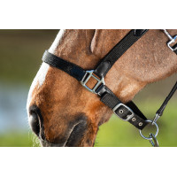 Neoprenhalfter Smart + Nylonführstrick HFI Master Preto / preto