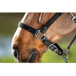 Neoprenhalfter Smart + Nylonführstrick HFI Master Preto / preto