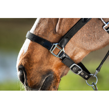Neoprenhalfter Smart + Nylonführstrick HFI Master Preto / preto