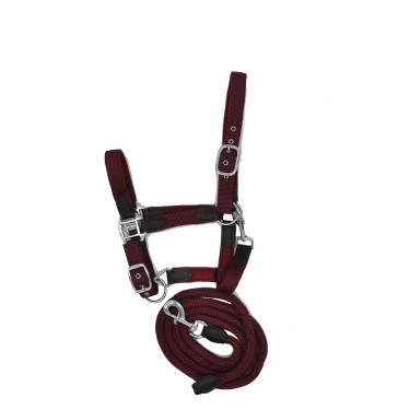 Neoprenhalfter Smart + Nylonführstrick HFI Master Bordéus / castanho Bord&amp;amp;amp;amp;amp;ocirc;