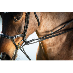 Deutsche Zügel Leder + Seil HFI Master Preto