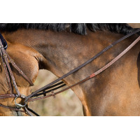 Rendas alemãs de couro HFI Master Castanho