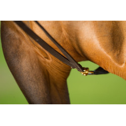 Rendas alemãs de couro HFI Master Castanho Rendas alemãs de couro HFI Master Castanho