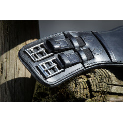 Cilha de adestramento HFI Master Preto