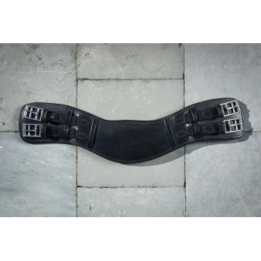 Cilha de adestramento HFI Master Preto