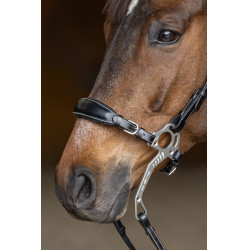 Conjunto Muserola Gourmette Hackamore HFI Master Conjunto Muserola Gourmette Hackamore HFI Master