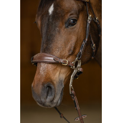 Conjunto Muserola Gourmette Hackamore HFI Master