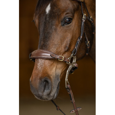 Conjunto Muserola Gourmette Hackamore HFI Master