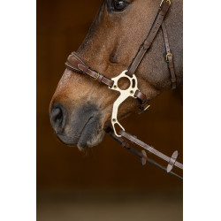 Conjunto Muserola Gourmette Hackamore HFI Master Castanho Conjunto Muserola Gourmette Hackamore HFI Master Castanho