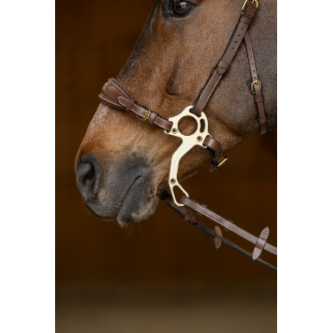 Conjunto Muserola Gourmette Hackamore HFI Master Castanho Conjunto Muserola Gourmette Hackamore HFI Master Castanho