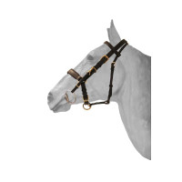 Kombiniertes Trensenzaum / Halfter HFI Preto