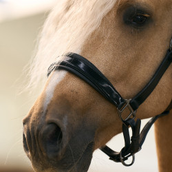 Halster Imperial Riding Hera Preto