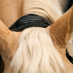 Halster Imperial Riding Hera Preto