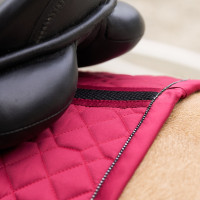 Almofada de sela Euro-Star Cato GP Sabugueiro Castanho