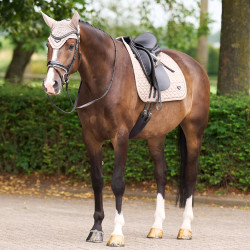 Almofada de sela Euro-Star Cato DR Tundra Bege