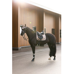 Touca anti-moscas Imperial Riding Lovely Cappuccino Castanho