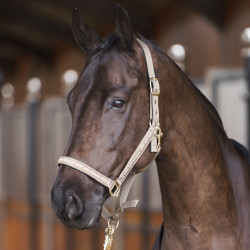 Caveção HV Polo Nena Seixo Cinzento