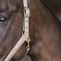 Caveção HV Polo Nena Marinho Azul-marinho
